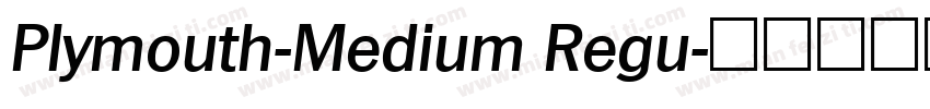 Plymouth-Medium Regu字体转换